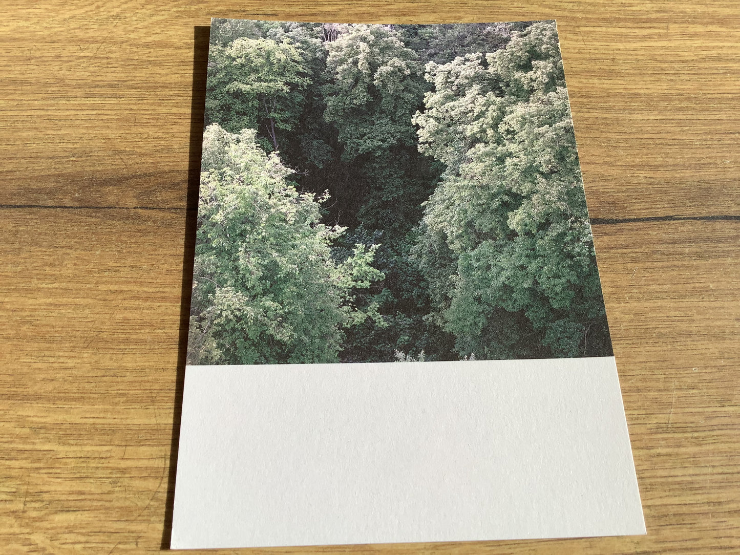 Postkarte Jennifer Deinzer Fotos°