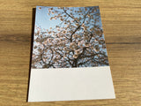 Postkarte Jennifer Deinzer Fotos°