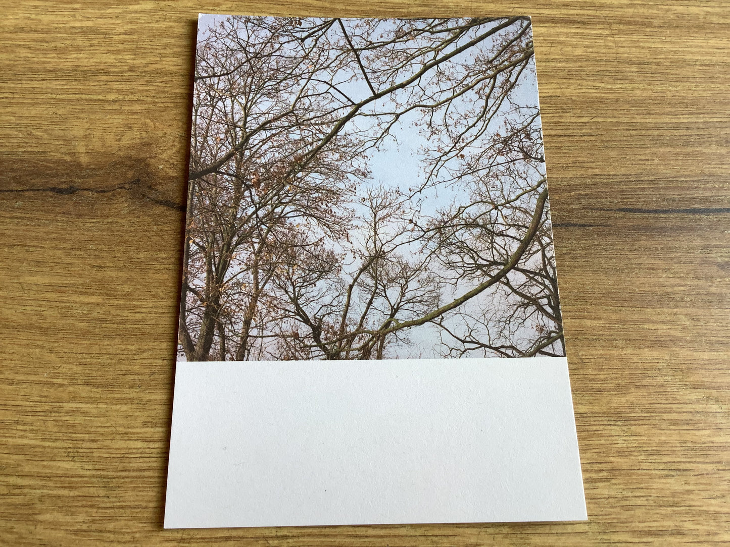 Postkarte Jennifer Deinzer Fotos°