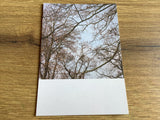 Postkarte Jennifer Deinzer Fotos°