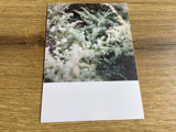 Postkarte Jennifer Deinzer Fotos°
