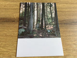 Postkarte Jennifer Deinzer Fotos°