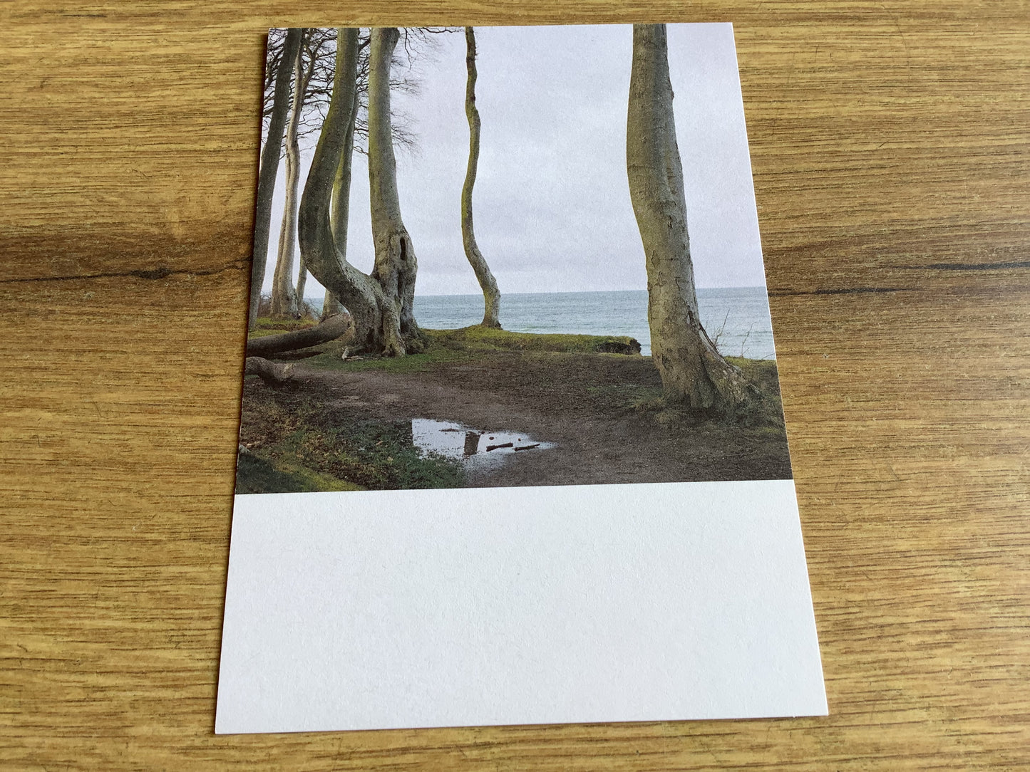 Postkarte Jennifer Deinzer Fotos°