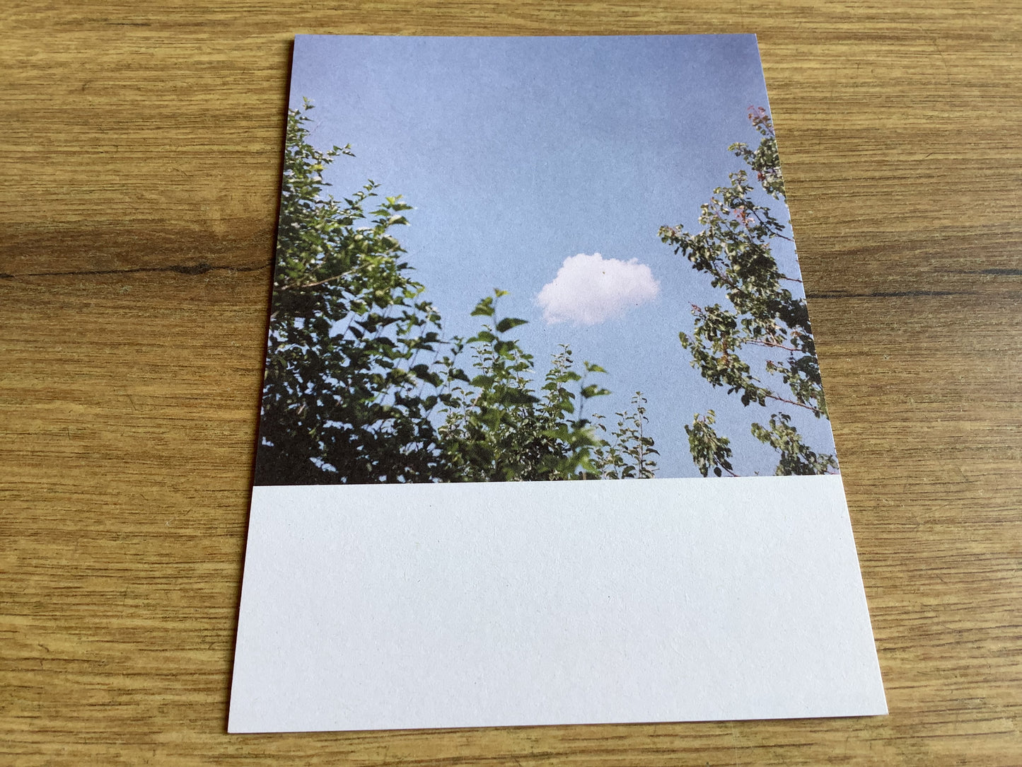 Postkarte Jennifer Deinzer Fotos°