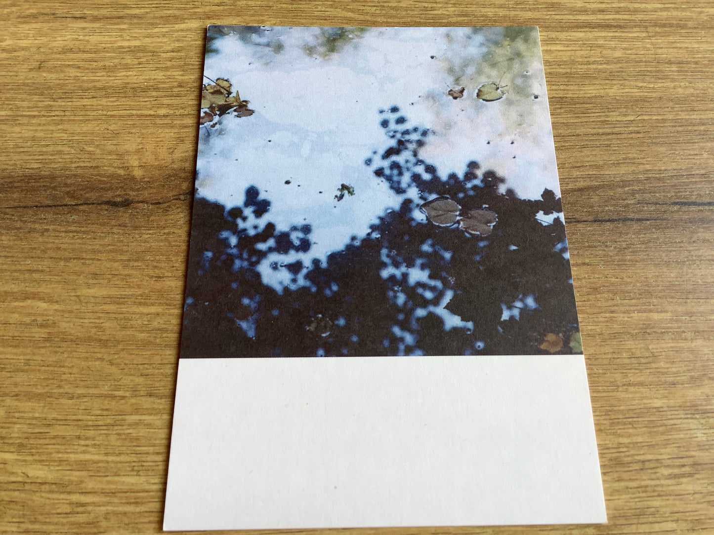 Postkarte Jennifer Deinzer Fotos°