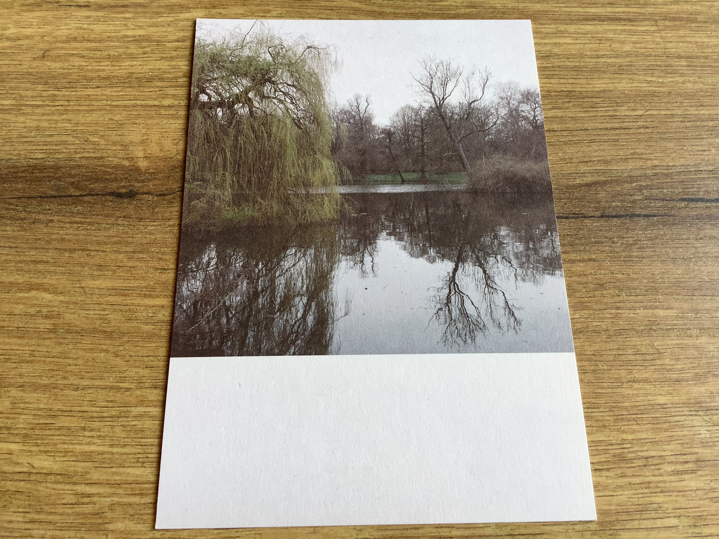 Postkarte Jennifer Deinzer Fotos°