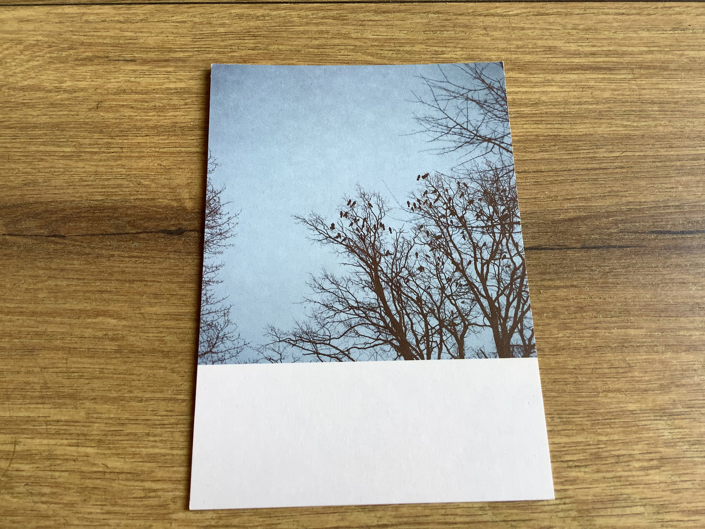 Postkarte Jennifer Deinzer Fotos°