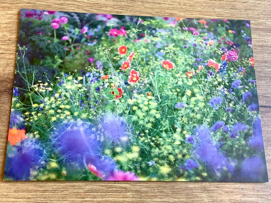 Postkarte Mystischer Garten (art+nature)