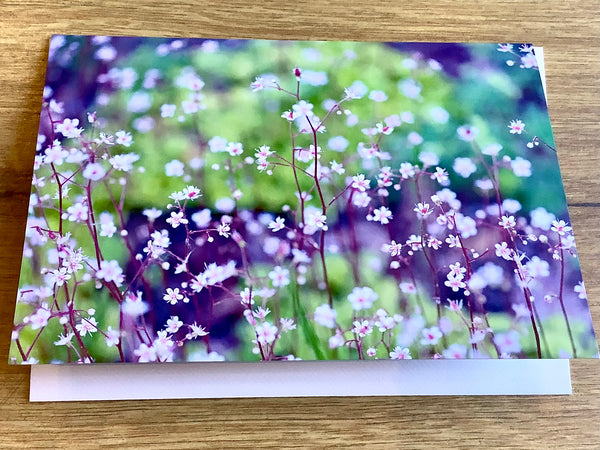 Brieftkarte Porzellanblümchen (art+nature)