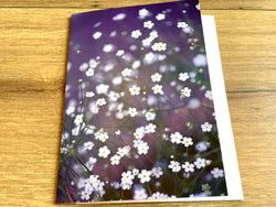 Briefkarte Kleine Blümchen (art+nature)