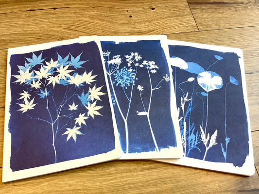 Notizheft A5 liniert Cyanotyp 32Bl.