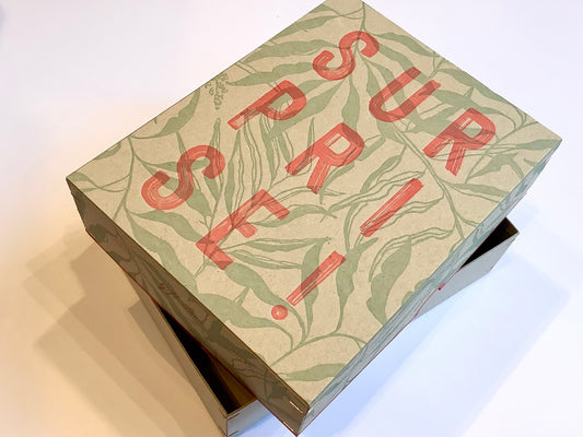 Geschenkbox Surprise 21x16cm Togethery