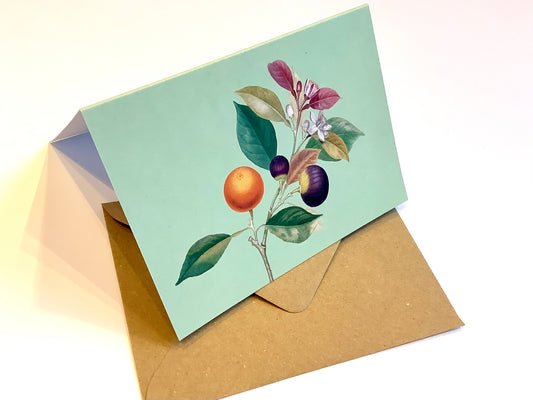 Briefkarte A6 „30x40“ Pflanzen+Tiere Recycling°