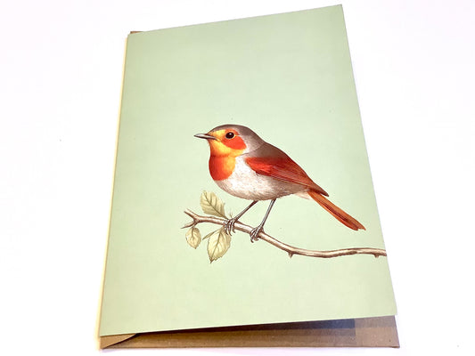 Briefkarte A6 „30x40“ Pflanzen+Tiere Recycling°