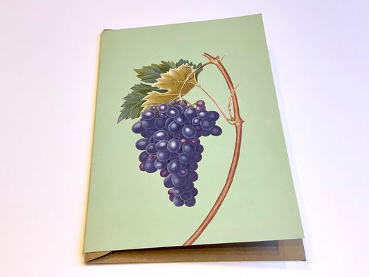 Briefkarte A6 „30x40“ Pflanzen+Tiere Recycling°