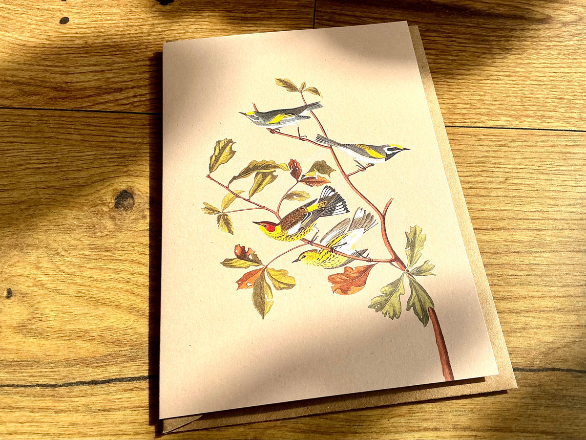 Klappkarte A6 Herbst (Vögel auf Ästen mit Herbstblättern)