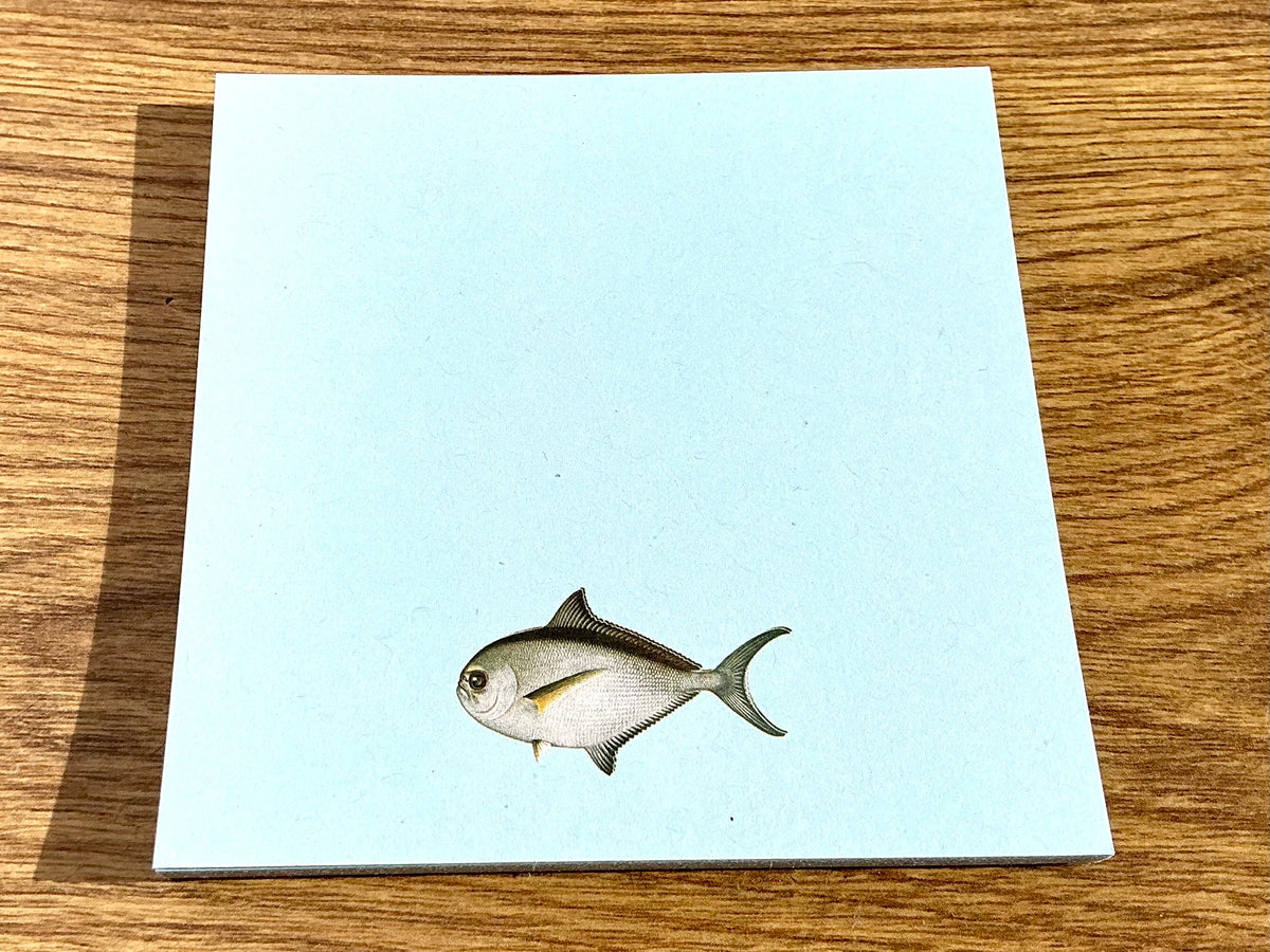 Notizblock Fisch 10x10cm RC