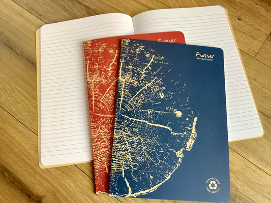 Notizheft A4 Clairefontaine liniert Recyclingpapier 