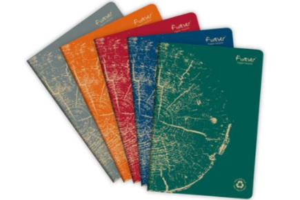 Notizheft A4 Clairefontaine liniert Recyclingpapier 