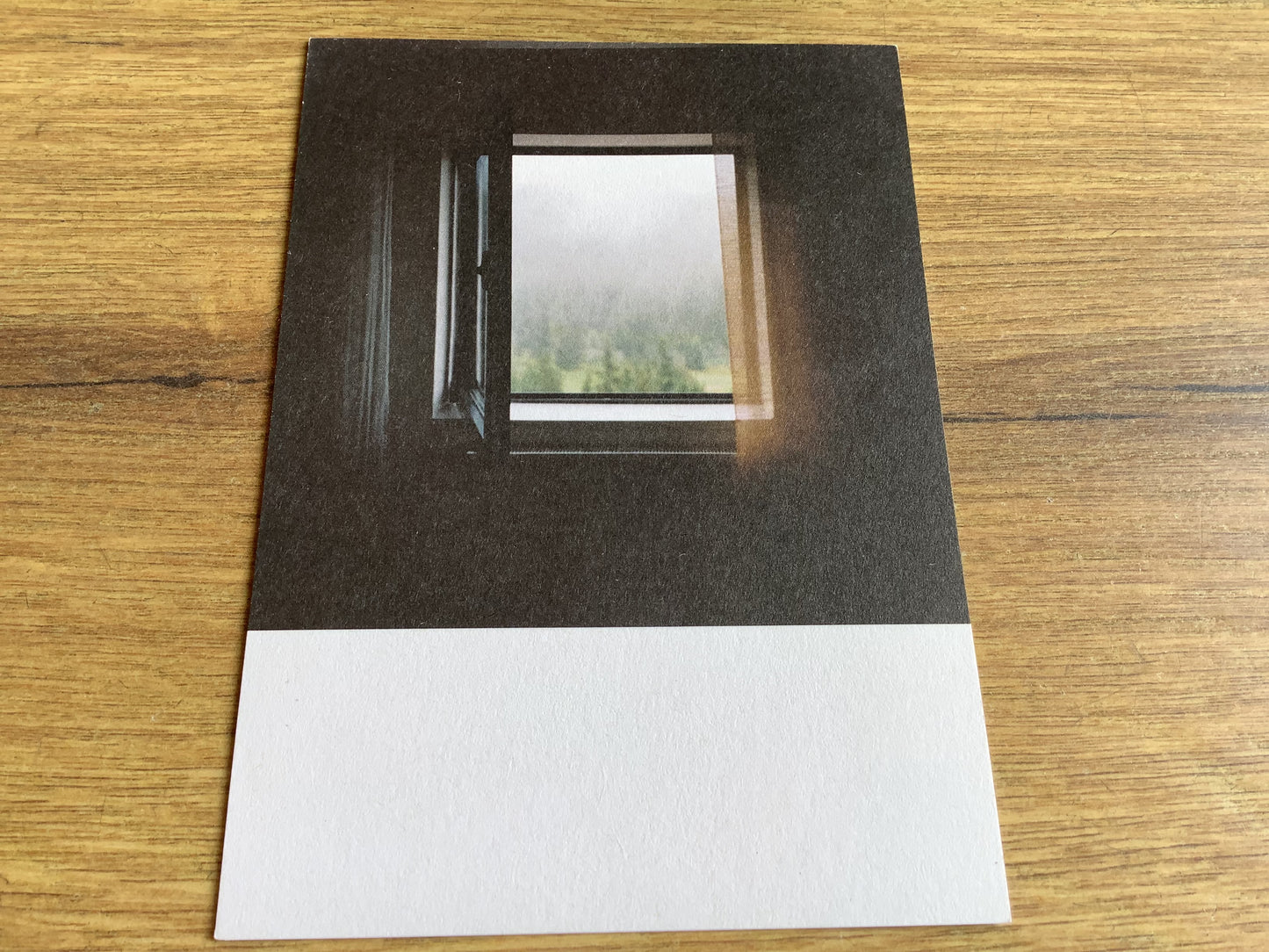 Postkarte Jennifer Deinzer Fotos A6° - Polly Paper - Umweltfreundliche Schreibwaren