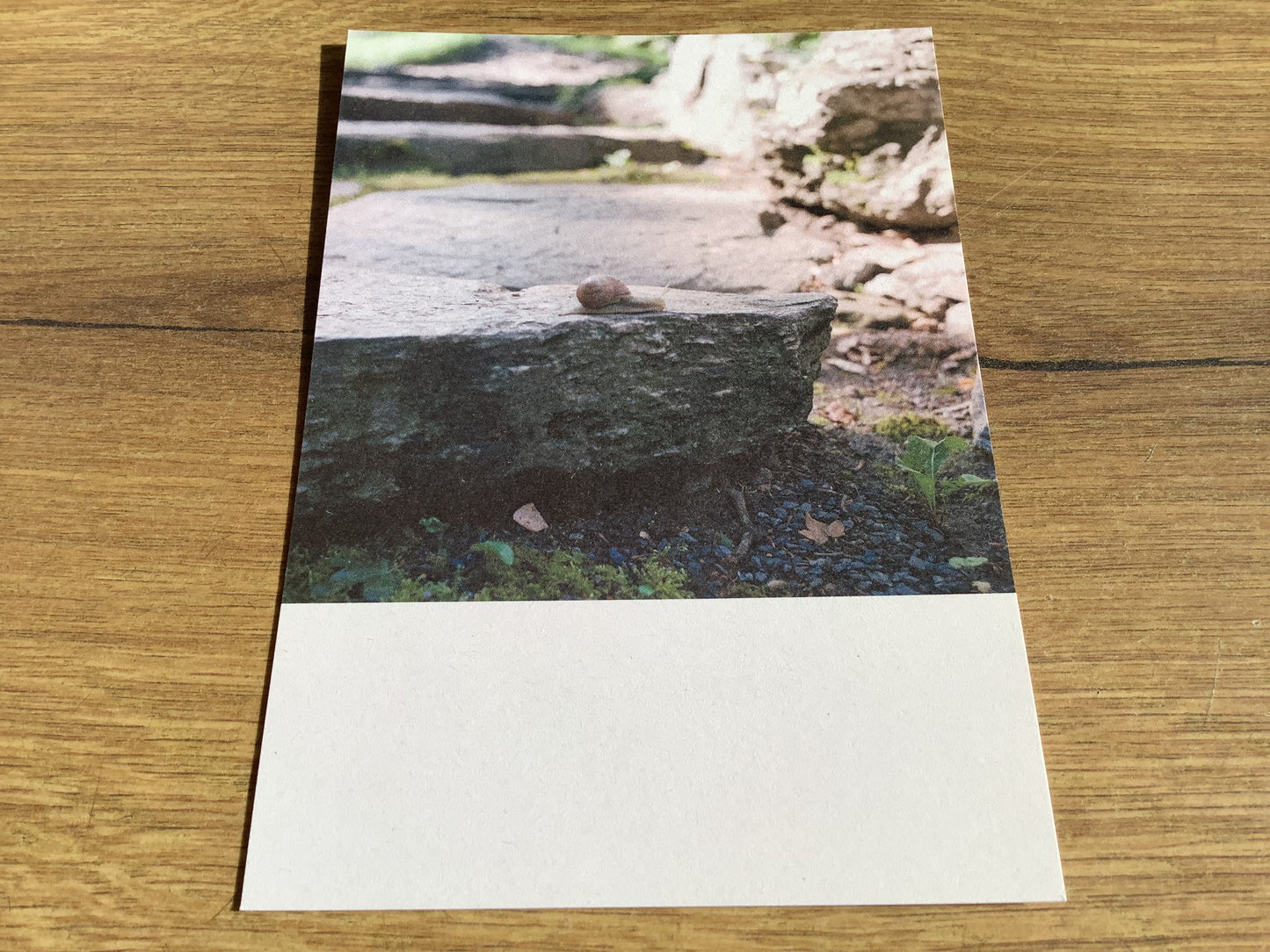 Postkarte Jennifer Deinzer Fotos A6° - Polly Paper - Umweltfreundliche Schreibwaren