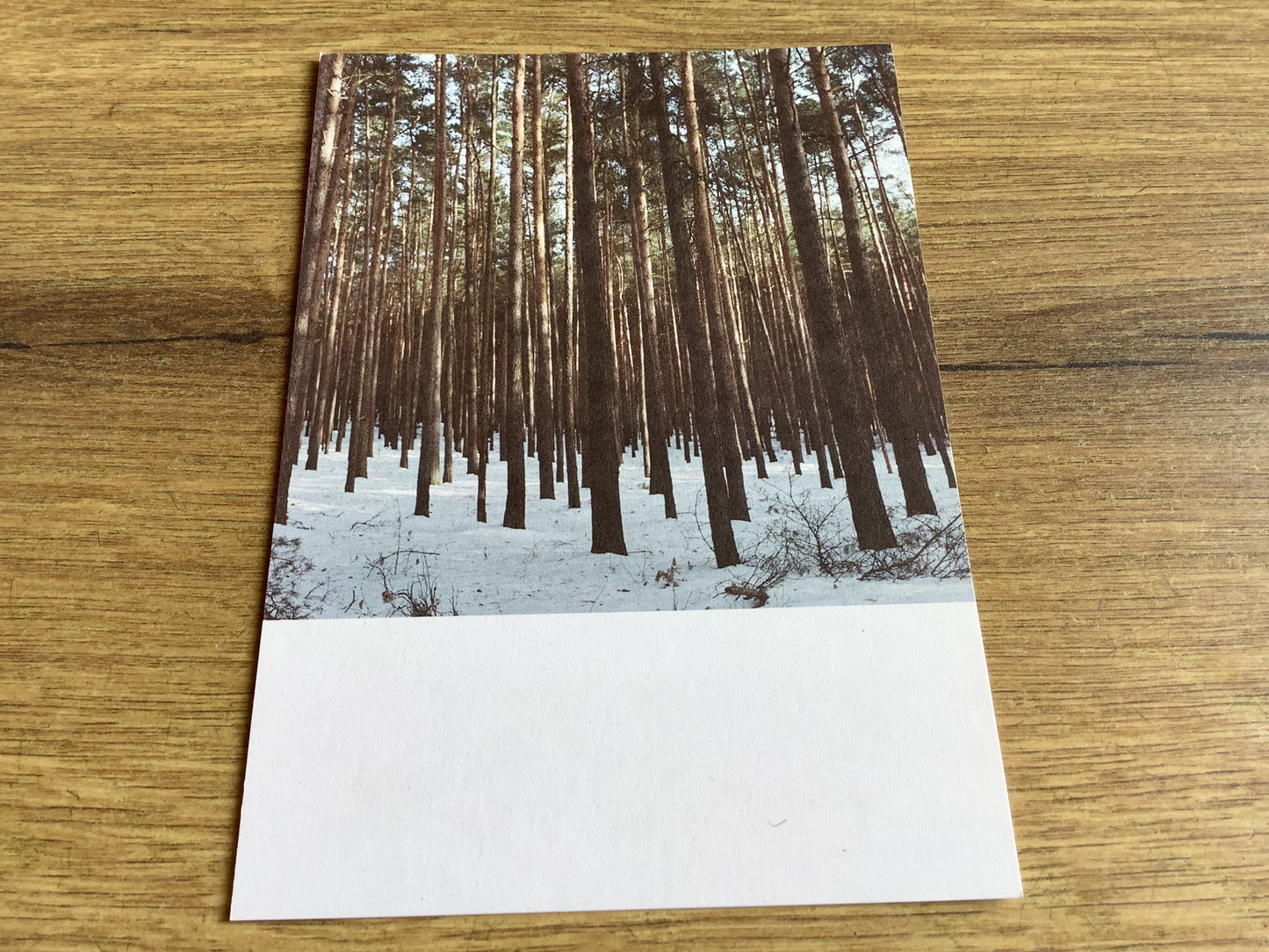 Postkarte Jennifer Deinzer Fotos A6° - Polly Paper - Umweltfreundliche Schreibwaren