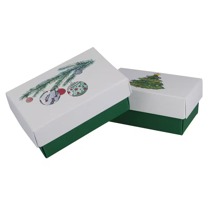 Buntbox L 2er-Set Weihnachten 26x17x8cm Geschenkbox