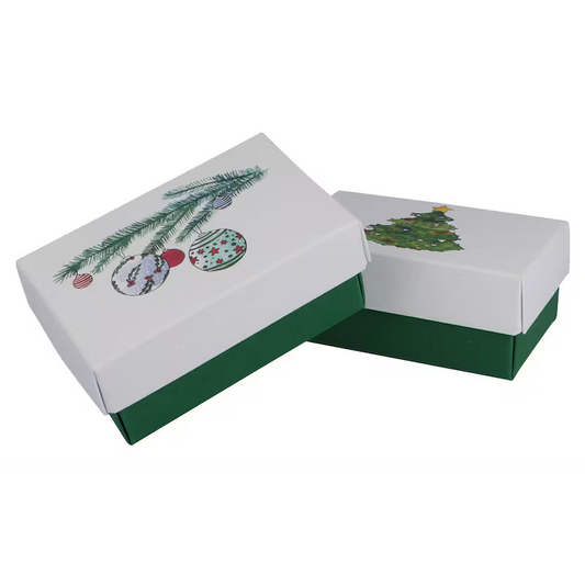 Buntbox L 2er-Set Weihnachten 26x17x8cm Geschenkbox