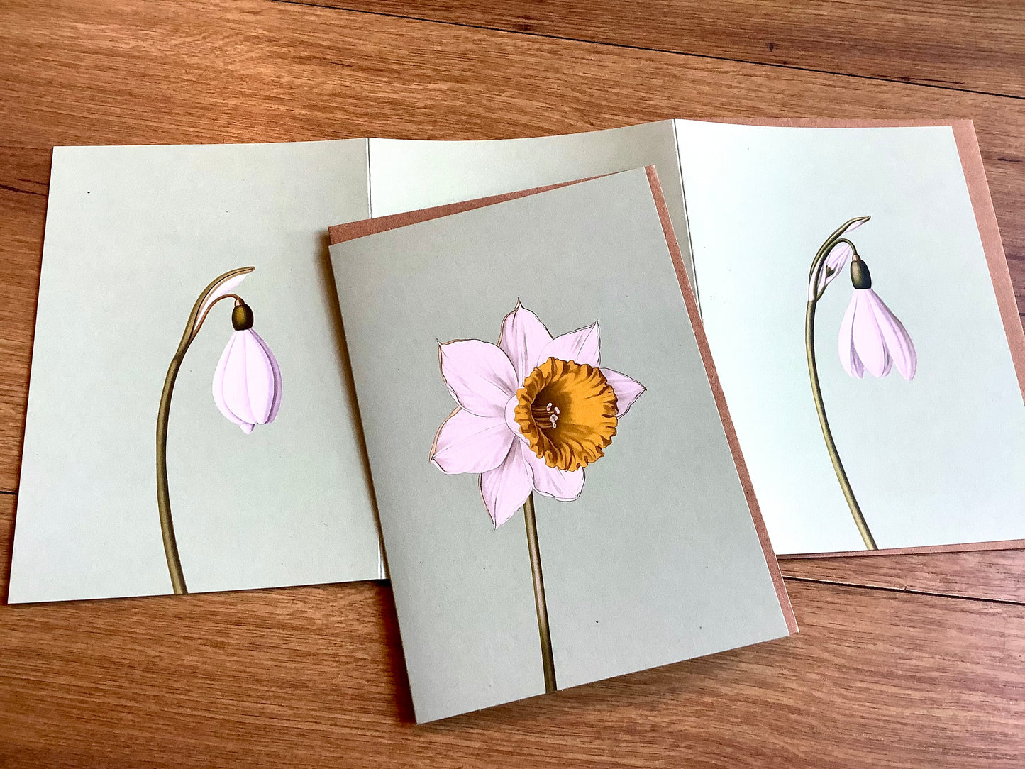 Doppel-Klappkarte Frühblüher ("30x40“) Leporellokarte°