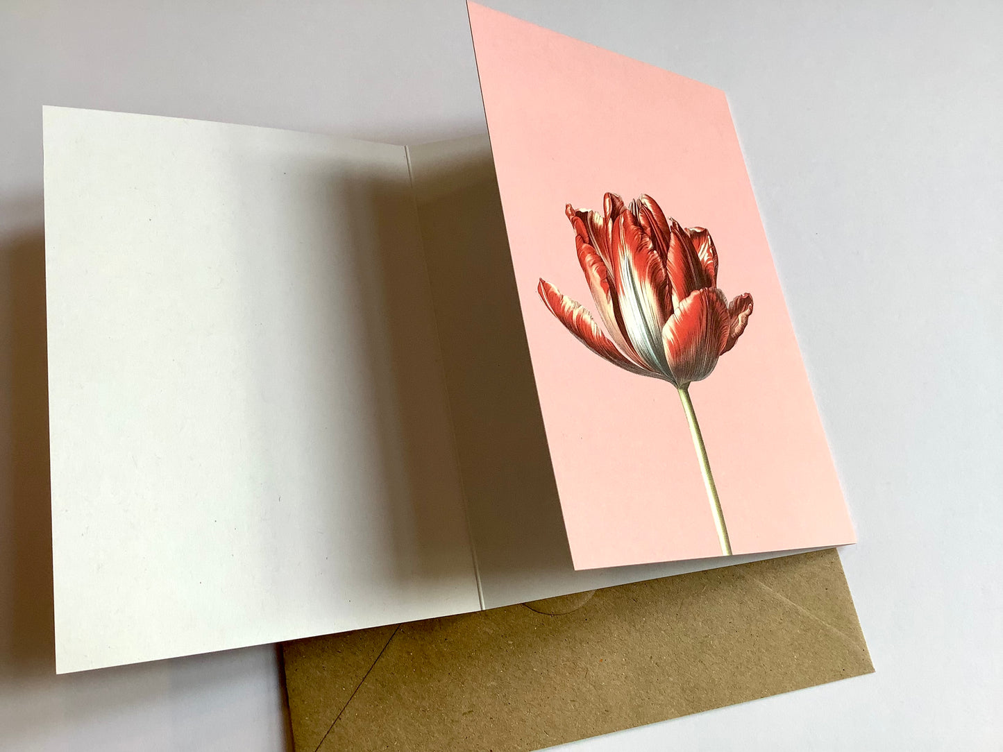 Klappkarte Tulpe Leporellokarte ("30x40“)