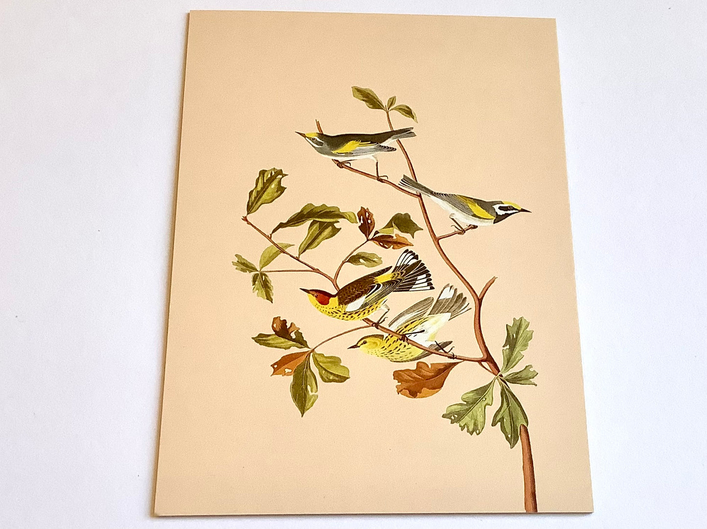 Grußkarte A5 Herbst Print „30x40“