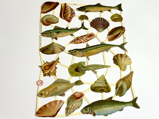 Glanzbilder Fische Meerestiere°