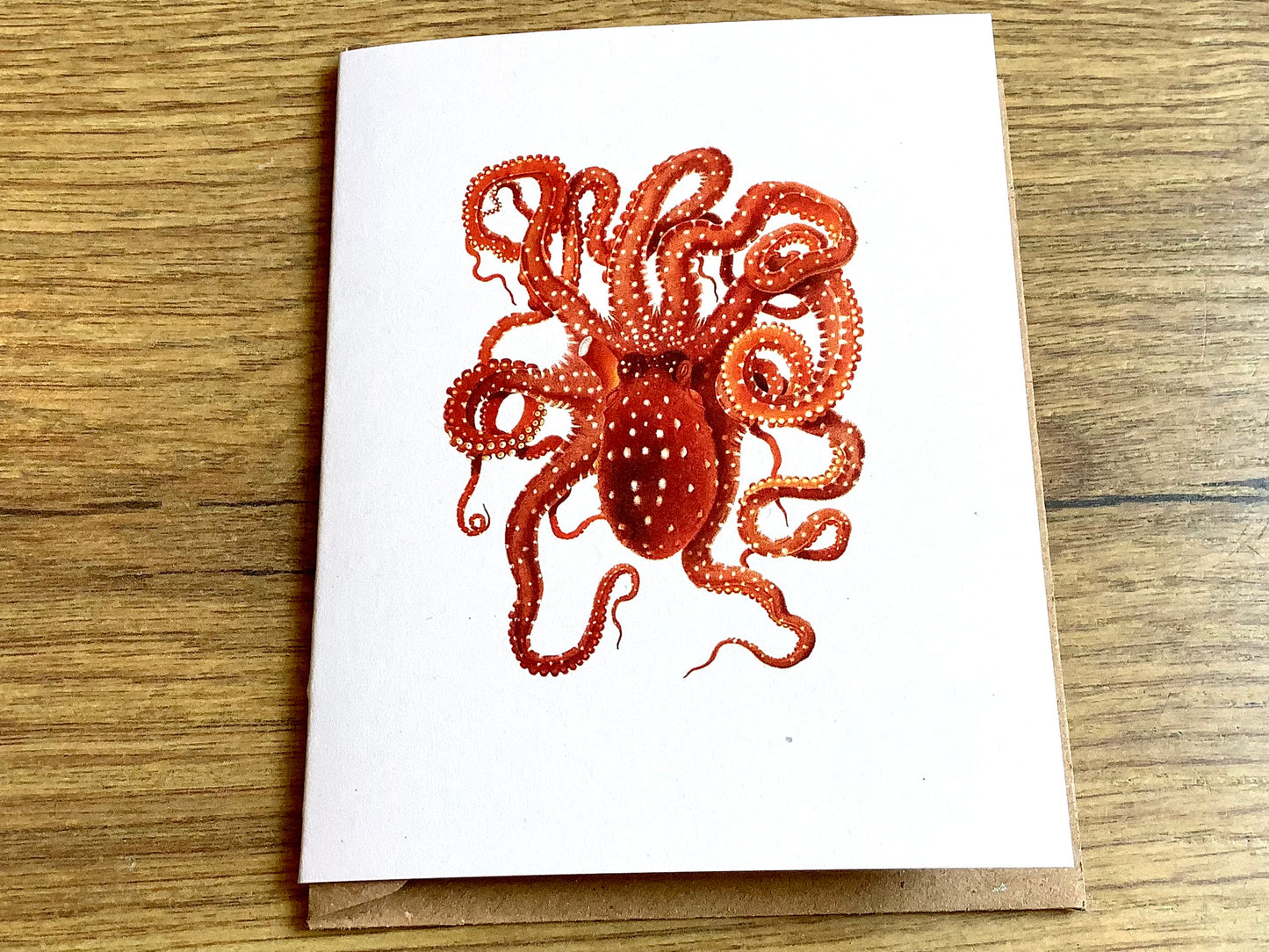 Kleine Grußkarte Tiere A7 („30x40“)°