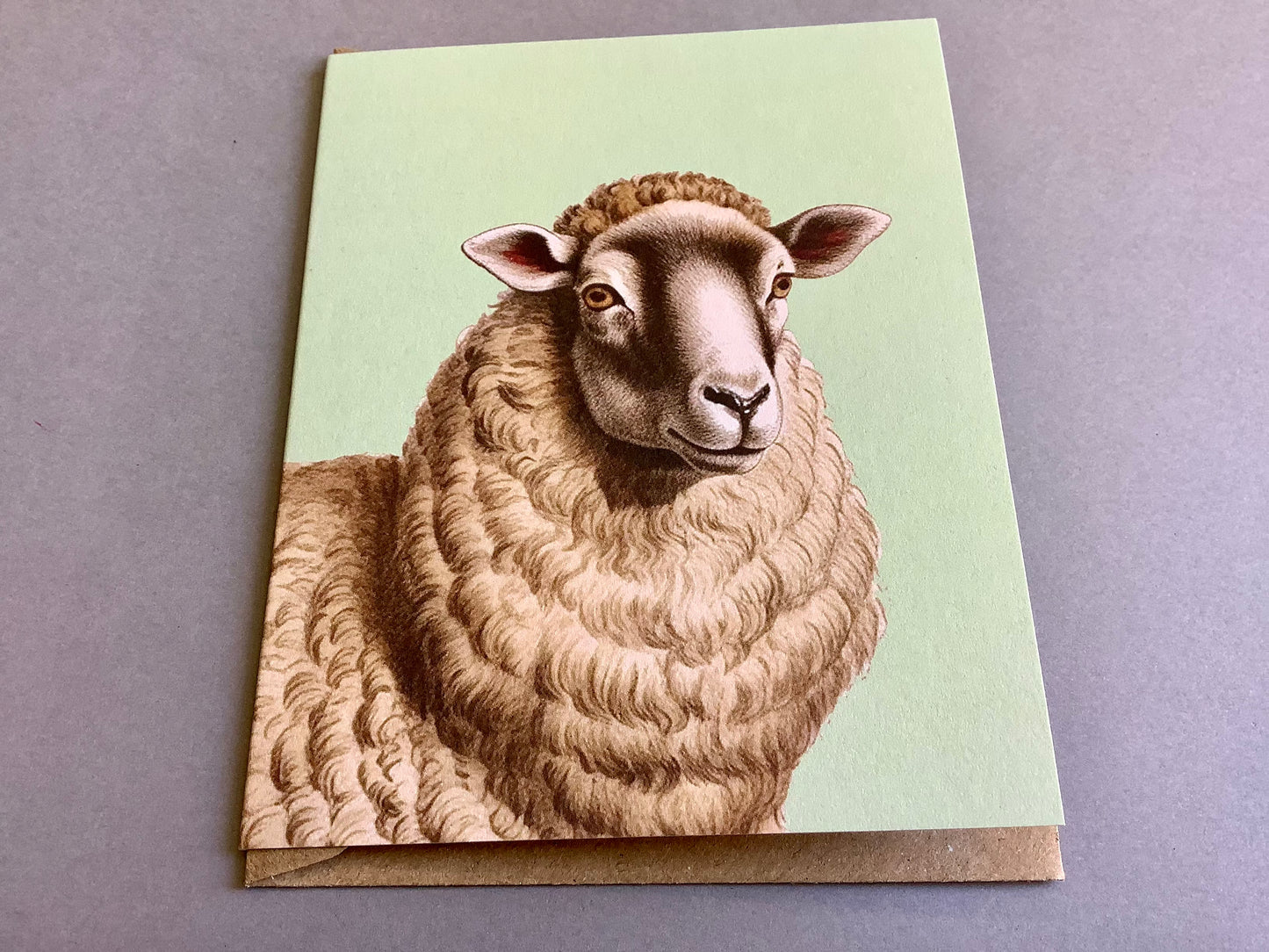 Kleine Grußkarte Tiere A7 („30x40“)°