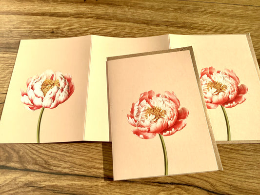 Klappkarte Pfingstrose Leporellokarte ("30x40“)