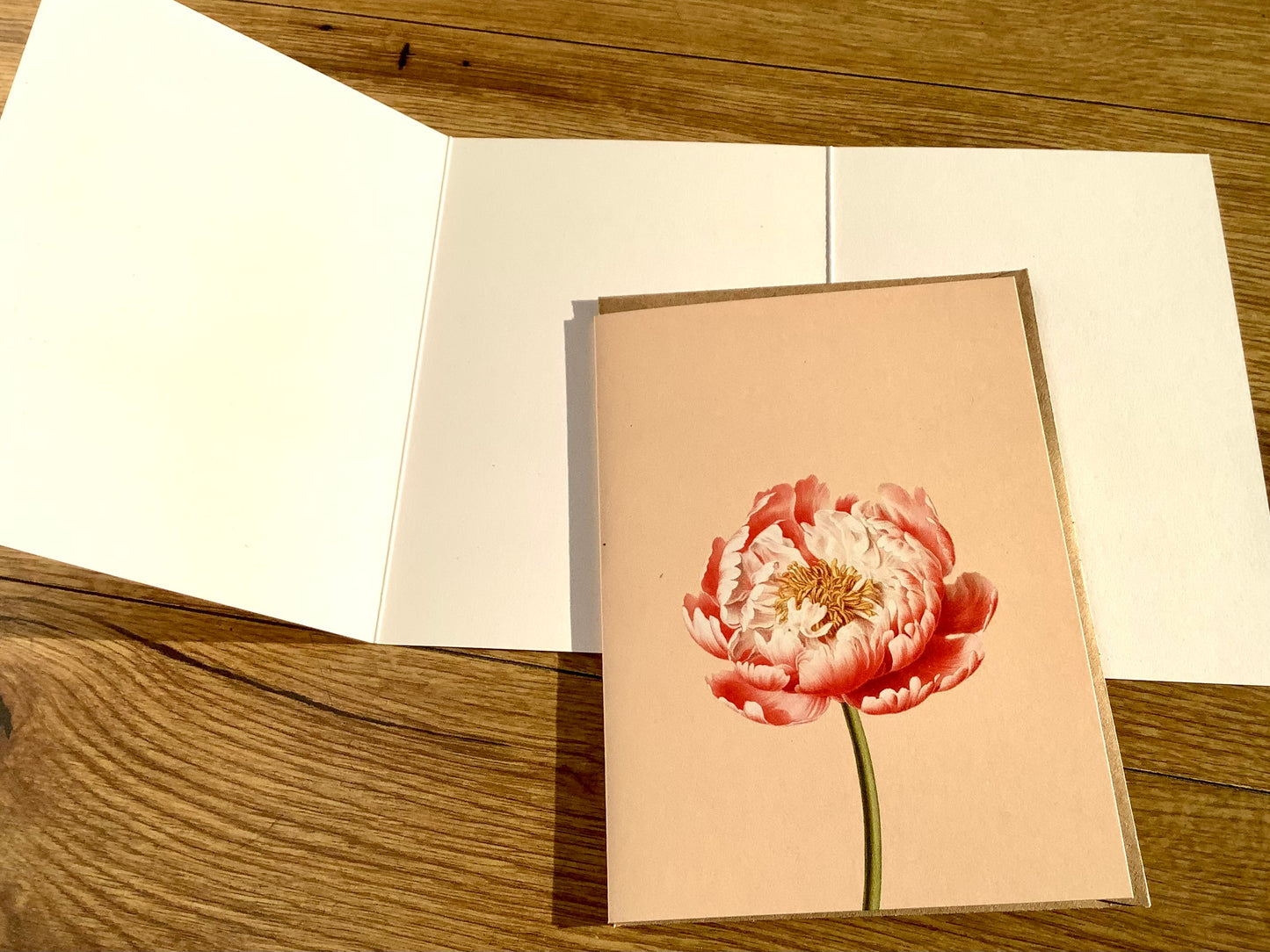 Klappkarte Pfingstrose Leporellokarte ("30x40“)