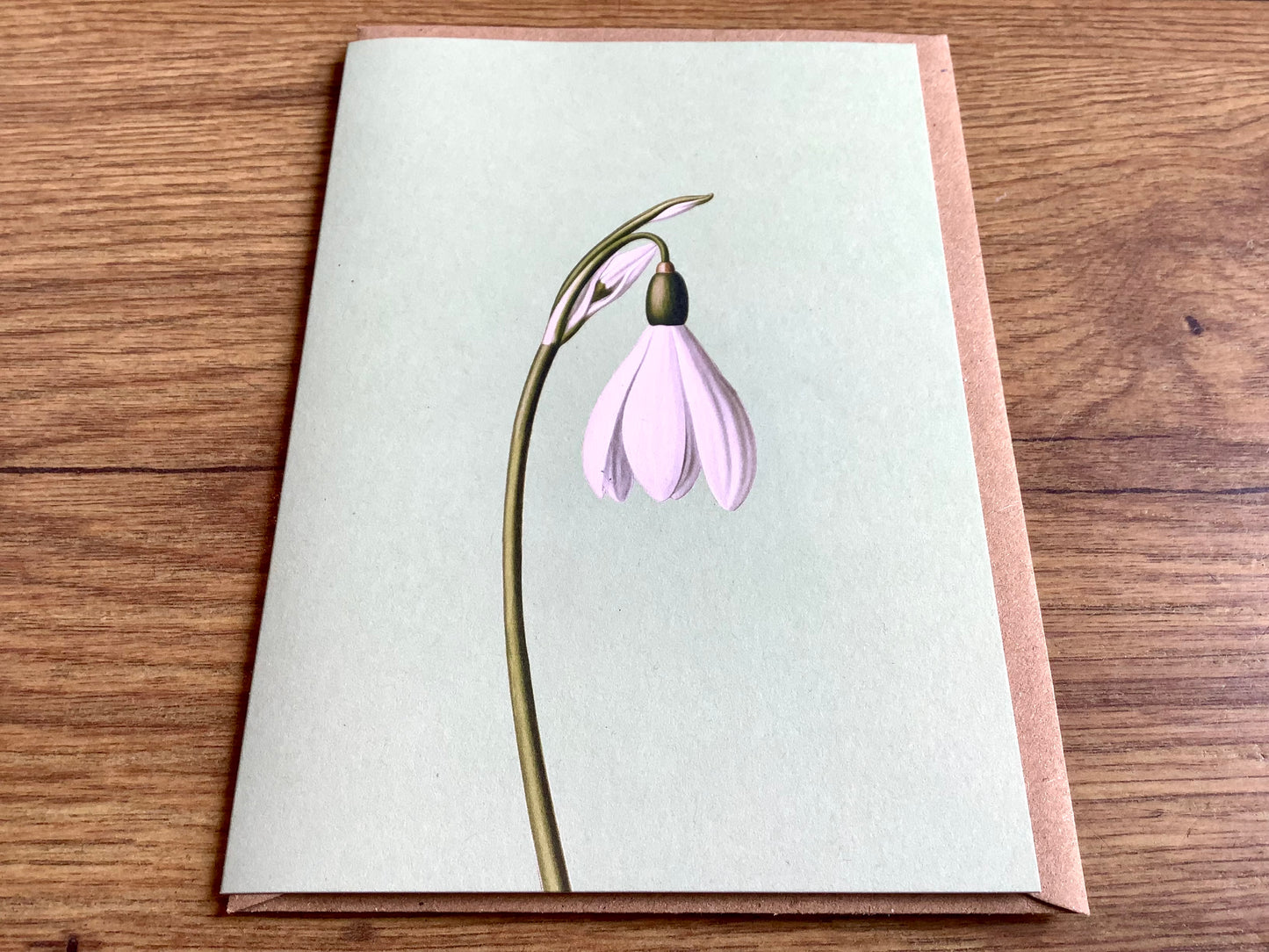 Doppel-Klappkarte Frühblüher ("30x40“) Leporellokarte°