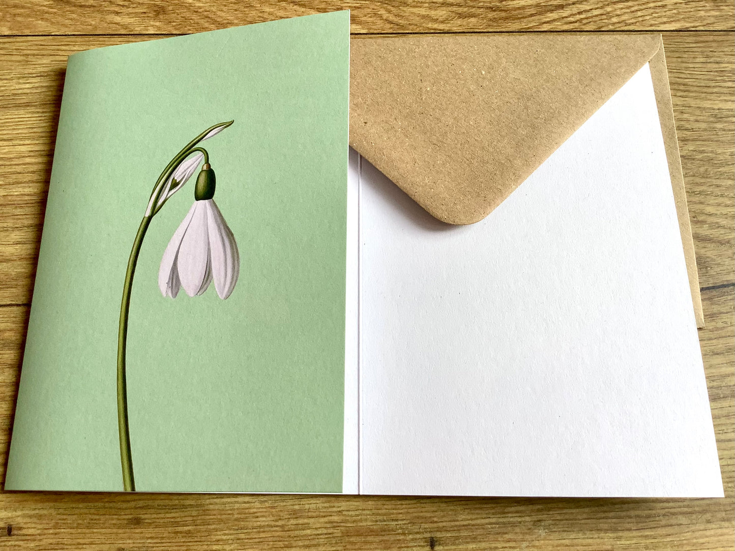 Doppel-Klappkarte Frühblüher ("30x40“) Leporellokarte°