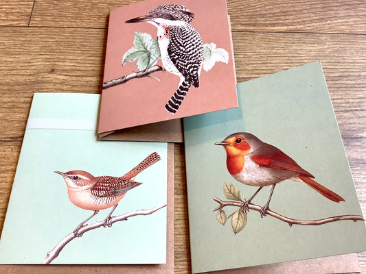 Kleine Grußkarte Vögel A7 („30x40“)°