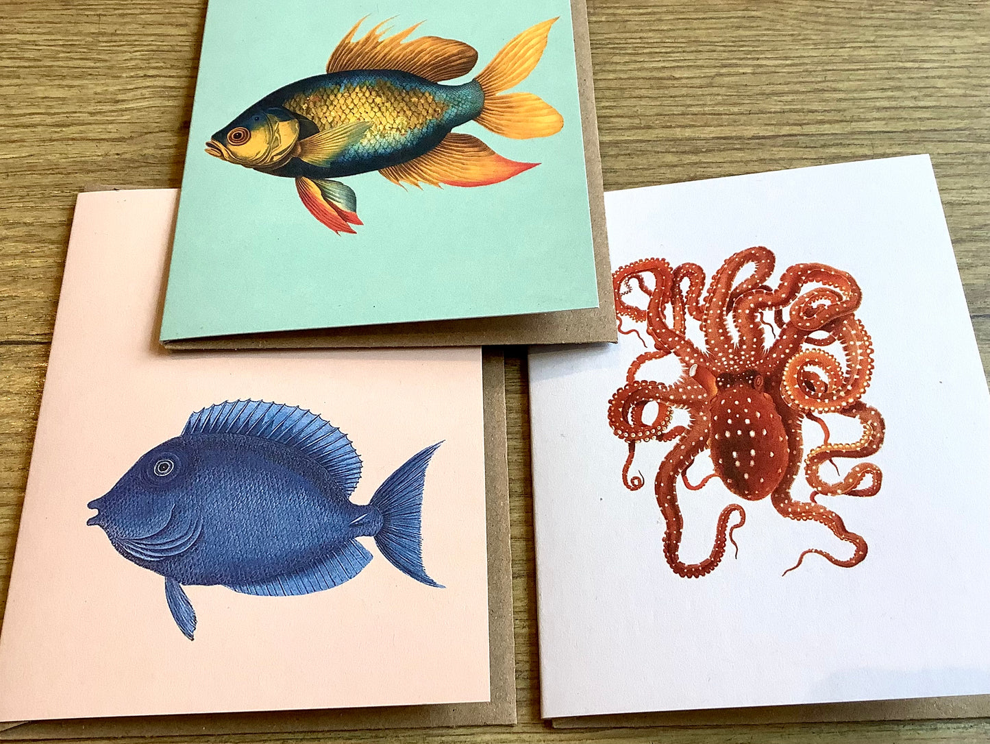 Kleine Grußkarte A7 Wassertiere („30x40“) RC°