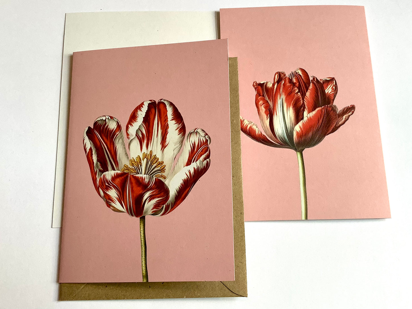 Klappkarte Tulpe Leporellokarte ("30x40“)