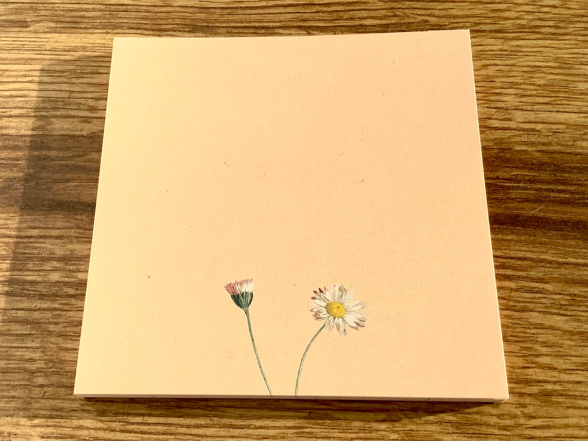 Notizblock Gänseblümchen 10x10cm RC