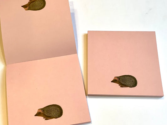 Notizblock Igel 10x10cm "30x40" RC
