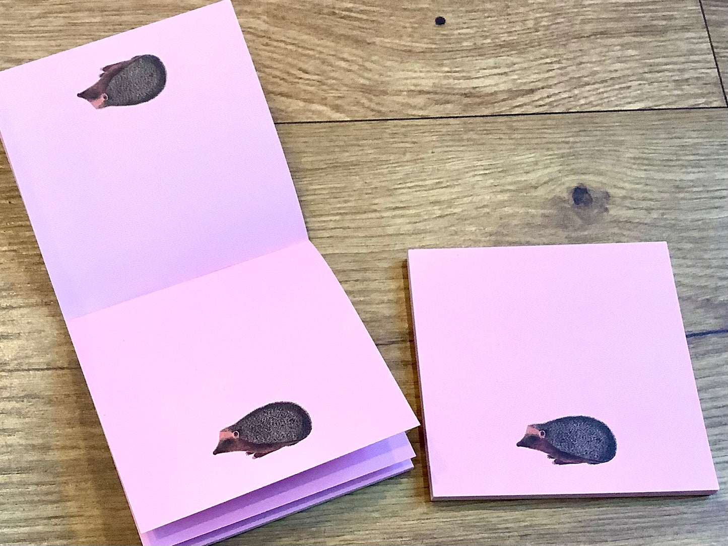 Notizblock Igel 10x10cm "30x40" RC