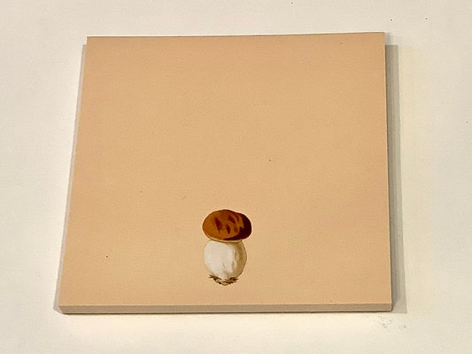 Notizblock Steinpilz 10x10cm "30x40" RC