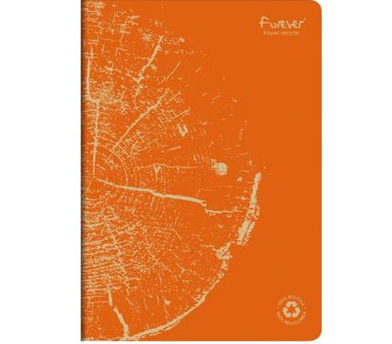 Notizheft A4 Clairefontaine liniert Recyclingpapier 
