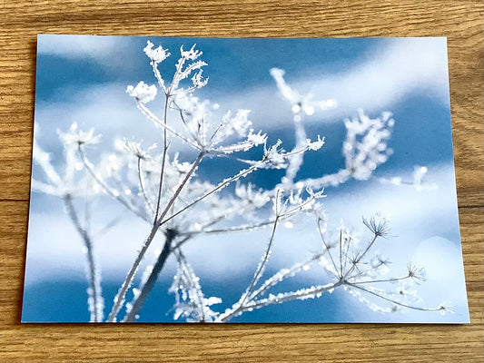 Postkarte Eiszeit (art+nature)