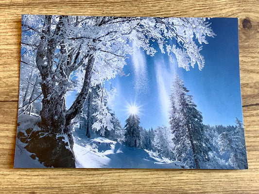 Postkarte Rieselnder Schnee (art+nature)