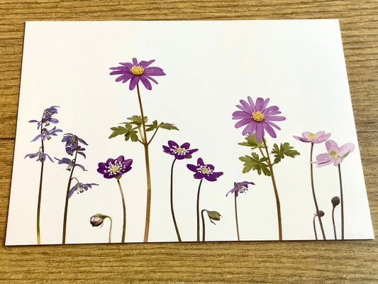 Postkarte Blaue Frühlingsboten („Zwiebelblüher“) A6 - Polly Paper - Umweltfreundliche Schreibwaren