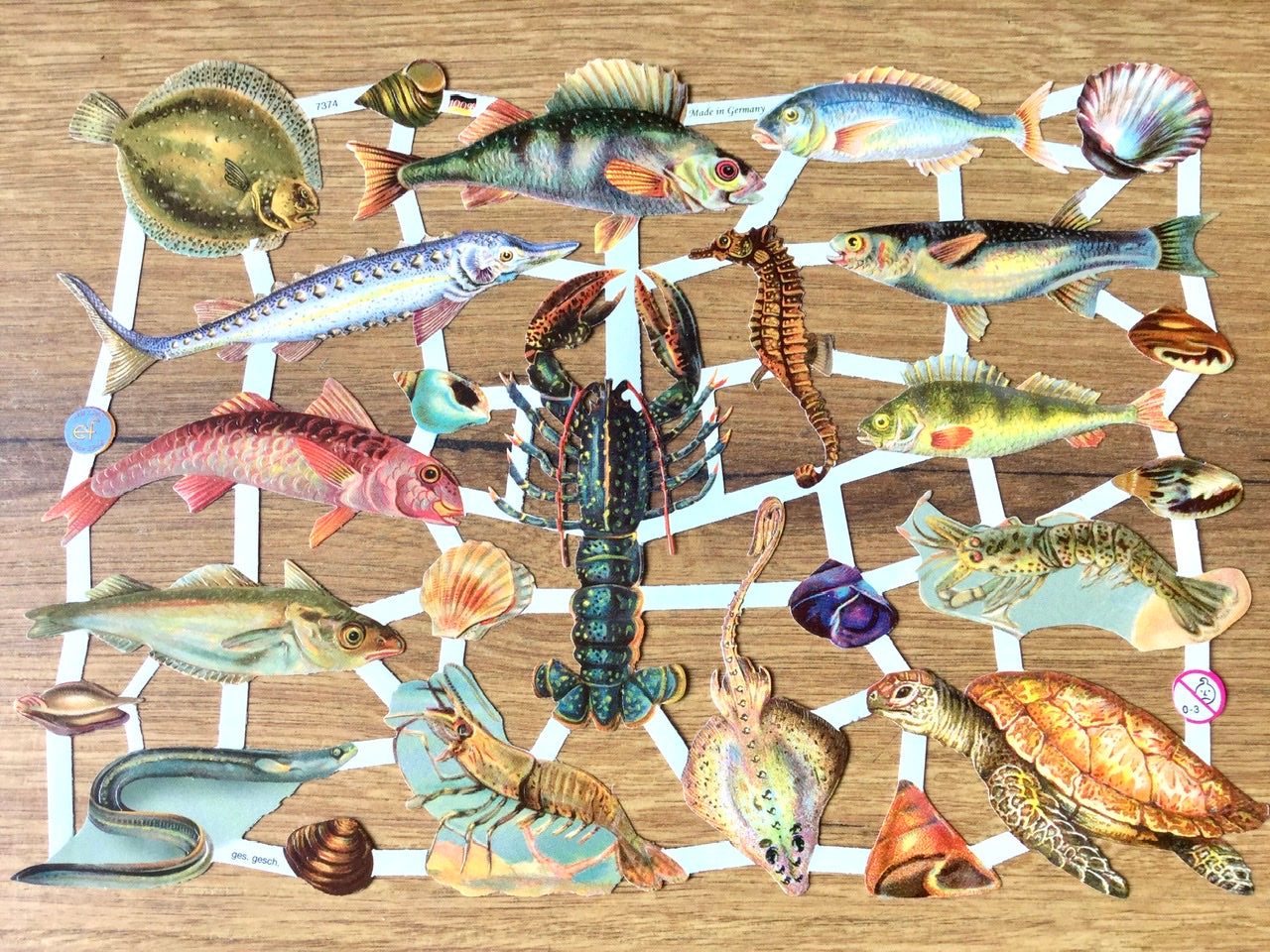 Glanzbilder Fische Meerestiere°